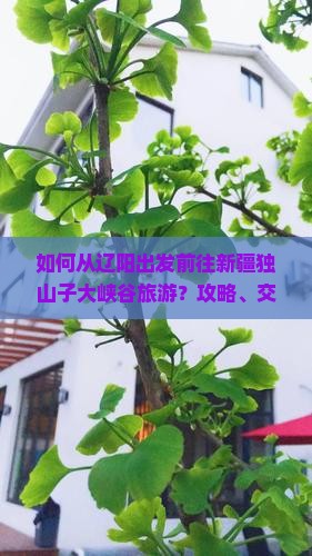 如何从辽阳出发前往新疆独山子大峡谷旅游？攻略、交通与住宿全指南