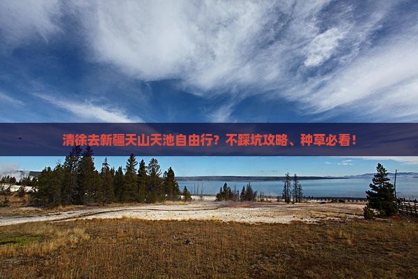 清徐去新疆天山天池自由行？不踩坑攻略、种草必看！