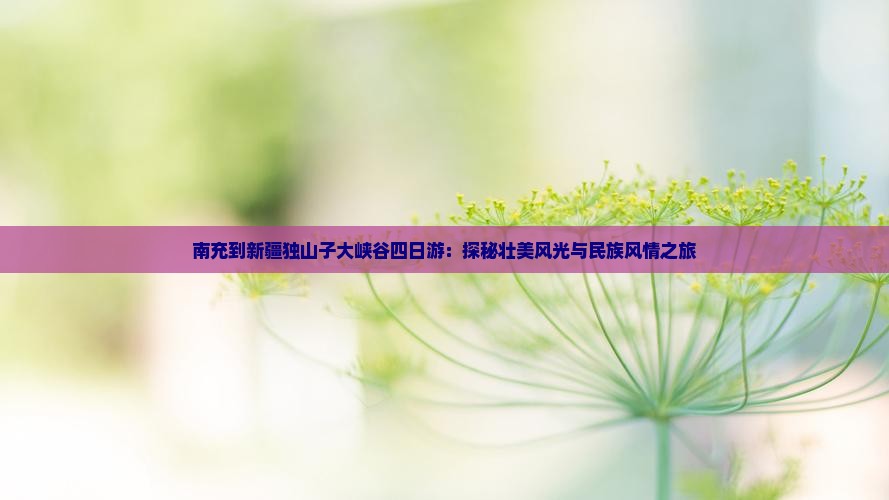 南充到新疆独山子大峡谷四日游：探秘壮美风光与民族风情之旅