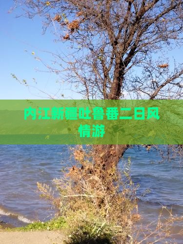 内江新疆吐鲁番二日风情游