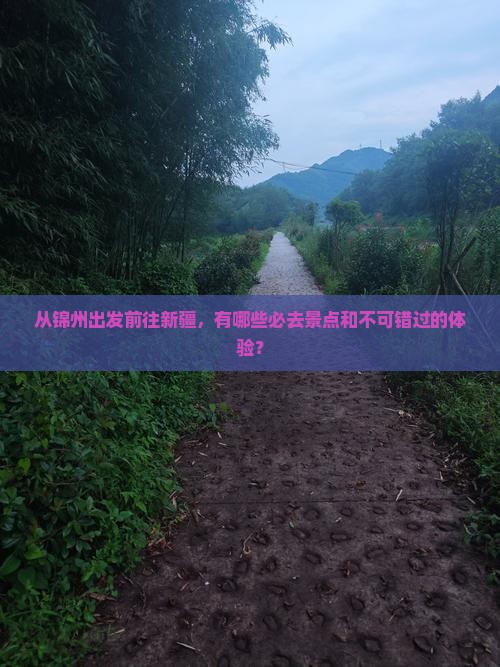 从锦州出发前往新疆，有哪些必去景点和不可错过的体验？