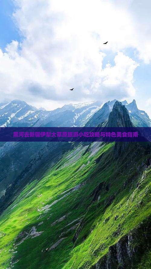黑河去新疆伊犁大草原旅游小吃攻略与特色美食指南
