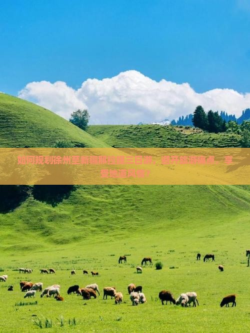 如何规划徐州至新疆那拉提三日游，避开旅游痛点，享受地道风情？