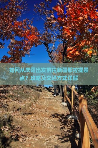 如何从庆阳出发前往新疆那拉提景点？攻略及交通方式详解