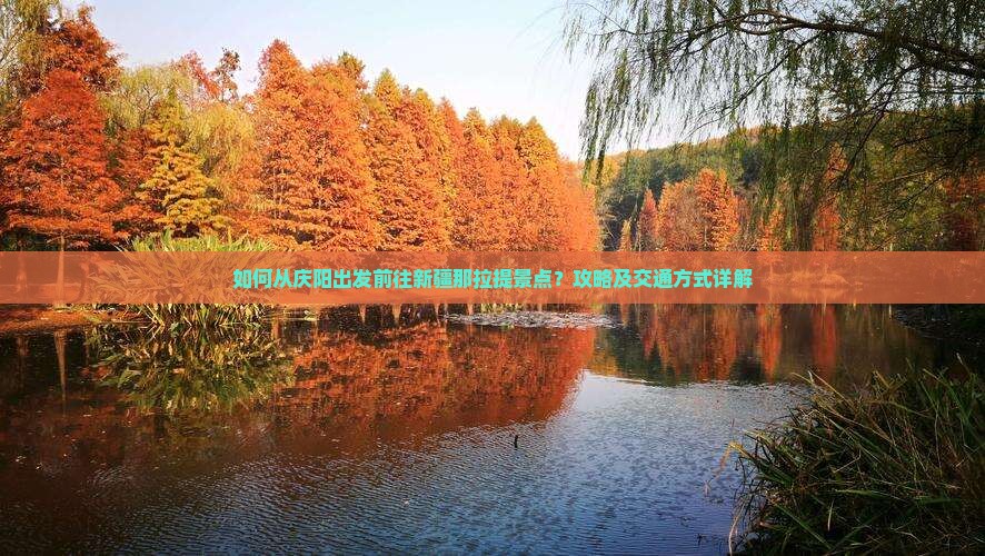 如何从庆阳出发前往新疆那拉提景点？攻略及交通方式详解