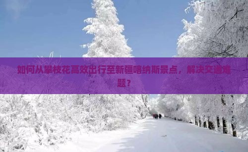 如何从攀枝花高效出行至新疆喀纳斯景点，解决交通难题？