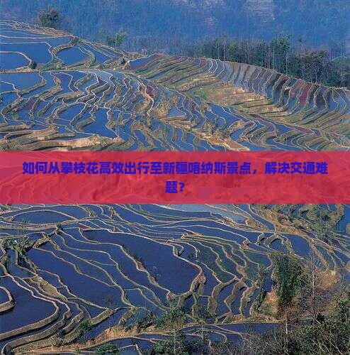 如何从攀枝花高效出行至新疆喀纳斯景点，解决交通难题？