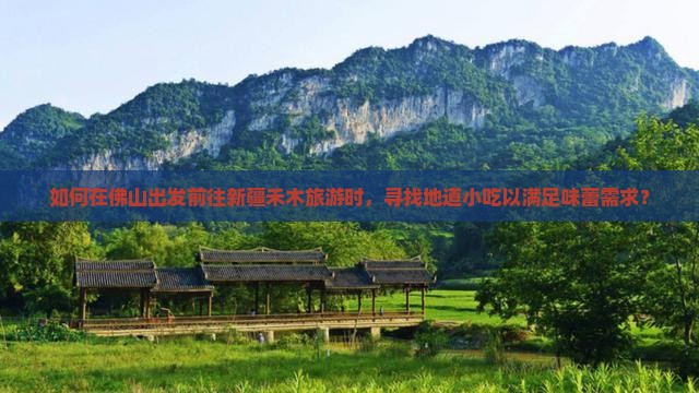 如何在佛山出发前往新疆禾木旅游时，寻找地道小吃以满足味蕾需求？