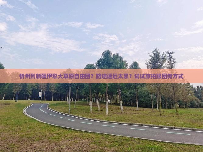 忻州到新疆伊犁大草原自由团？路途遥远太累？试试旅拍跟团新方式
