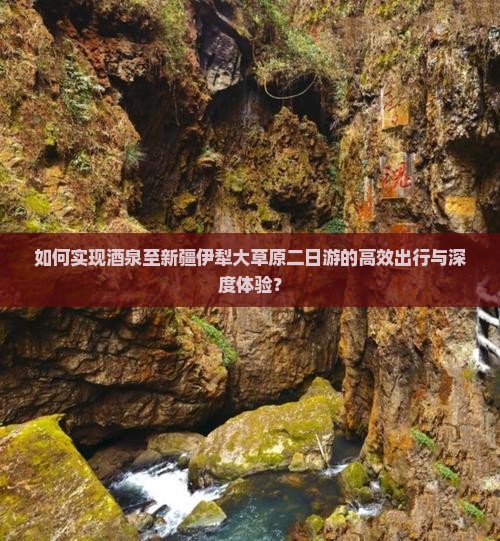 如何实现酒泉至新疆伊犁大草原二日游的高效出行与深度体验？