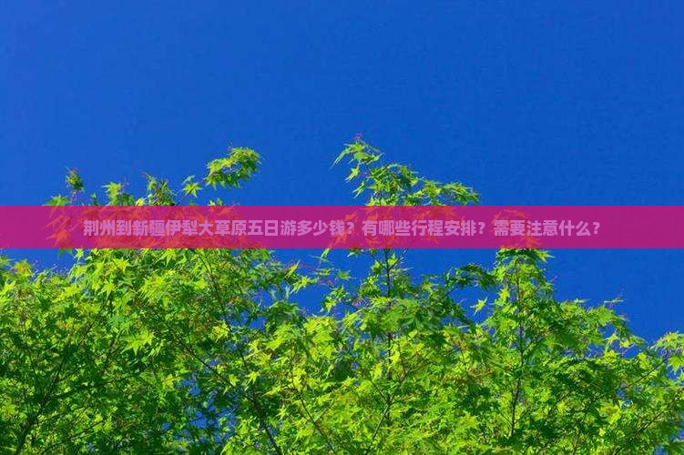 荆州到新疆伊犁大草原五日游多少钱？有哪些行程安排？需要注意什么？