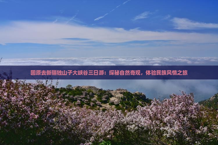 固原去新疆独山子大峡谷三日游：探秘自然奇观，体验民族风情之旅