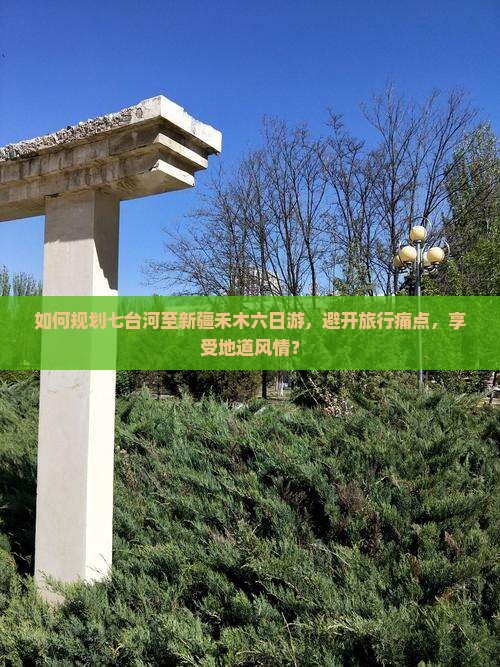 如何规划七台河至新疆禾木六日游，避开旅行痛点，享受地道风情？