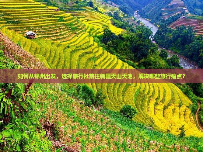 如何从锦州出发，选择旅行社前往新疆天山天池，解决哪些旅行痛点？