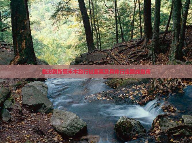临汾到新疆禾木旅行社距离及具体行走路线指南