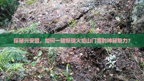 探秘兴安盟，如何一睹新疆火焰山门票的神秘魅力？