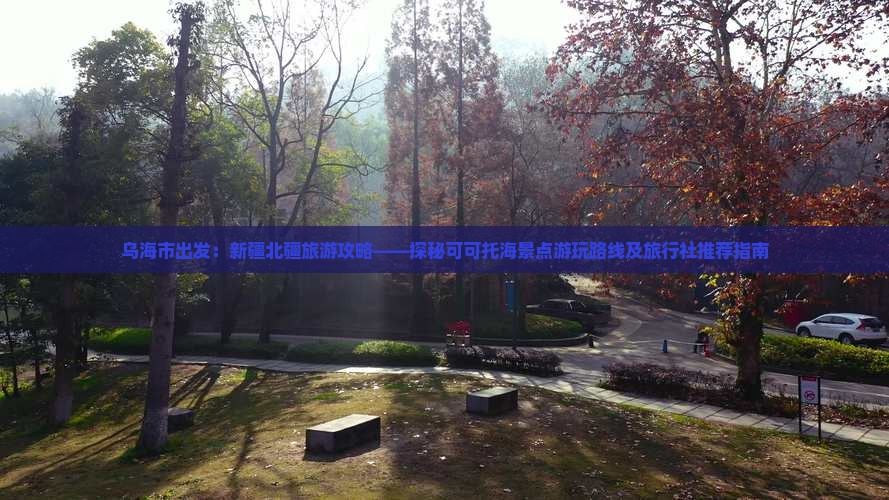 乌海市出发：新疆北疆旅游攻略——探秘可可托海景点游玩路线及旅行社推荐指南