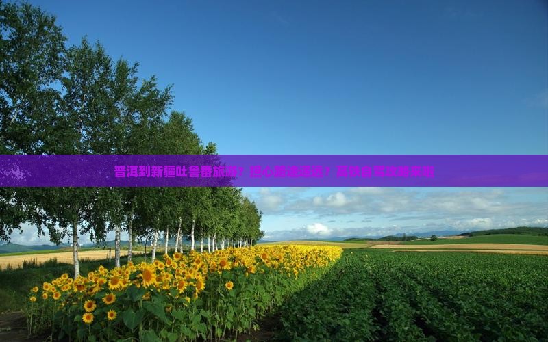 普洱到新疆吐鲁番旅游？担心路途遥远？高铁自驾攻略来啦