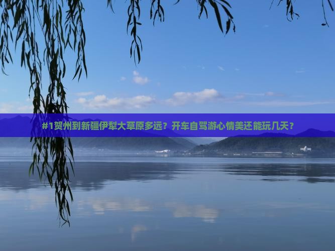 #1贺州到新疆伊犁大草原多远？开车自驾游心情美还能玩几天？