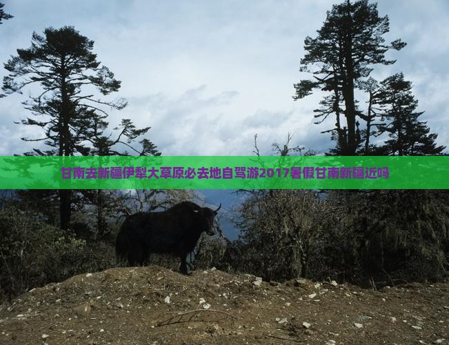 甘南去新疆伊犁大草原必去地自驾游2017暑假甘南新疆近吗
