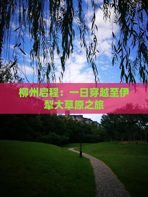 柳州启程：一日穿越至伊犁大草原之旅