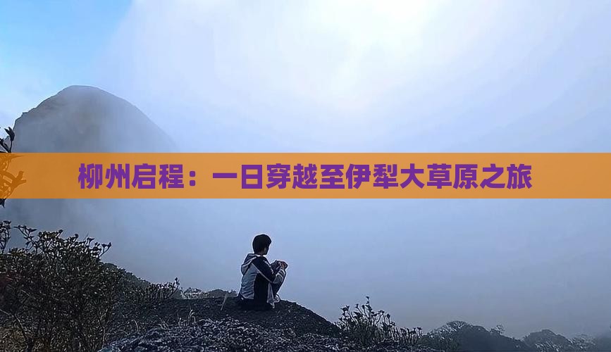 柳州启程：一日穿越至伊犁大草原之旅