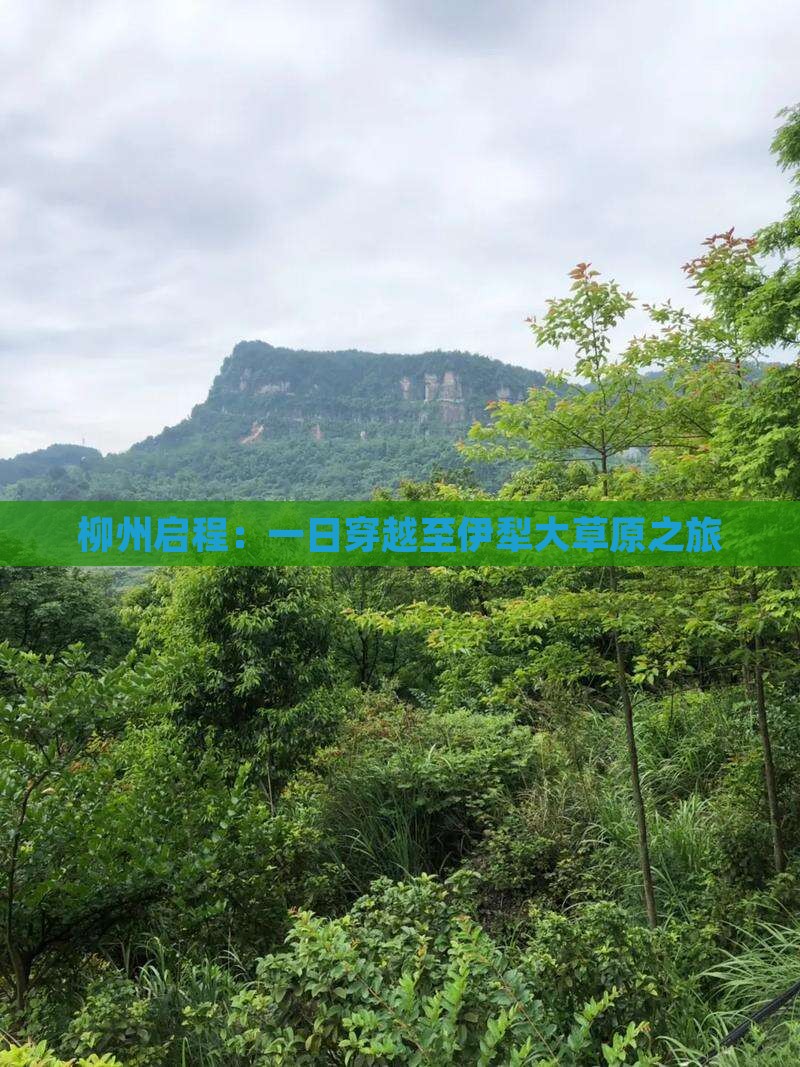 柳州启程：一日穿越至伊犁大草原之旅