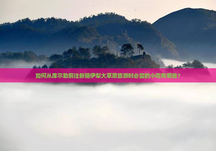 如何从库尔勒前往新疆伊犁大草原旅游时必尝的小吃有哪些？
