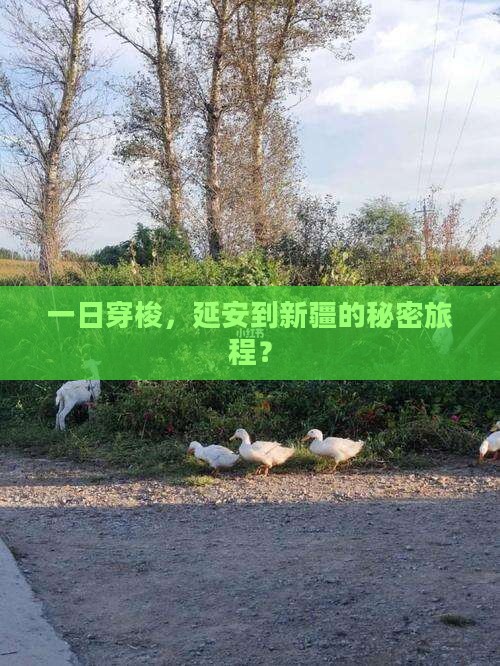 一日穿梭，延安到新疆的秘密旅程？