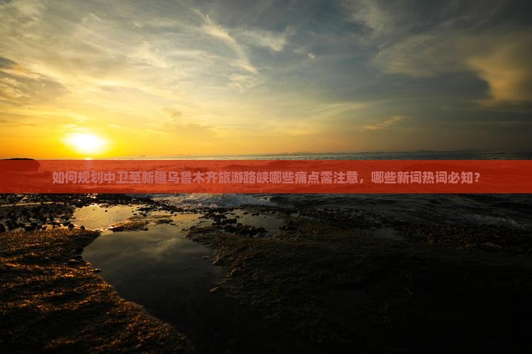 如何规划中卫至新疆乌鲁木齐旅游路峡哪些痛点需注意，哪些新词热词必知？