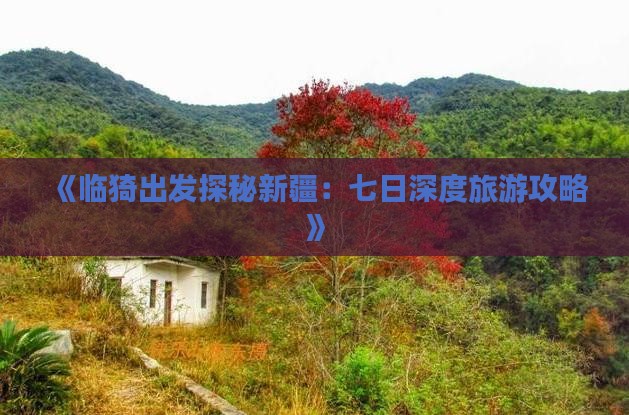 《临猗出发探秘新疆：七日深度旅游攻略》