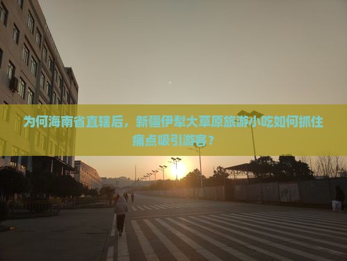 为何海南省直辖后，新疆伊犁大草原旅游小吃如何抓住痛点吸引游客？