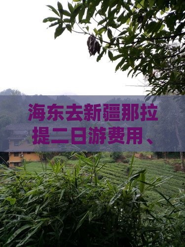 海东去新疆那拉提二日游费用、路线及攻略