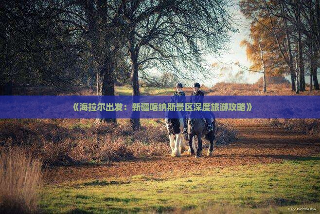 《海拉尔出发：新疆喀纳斯景区深度旅游攻略》