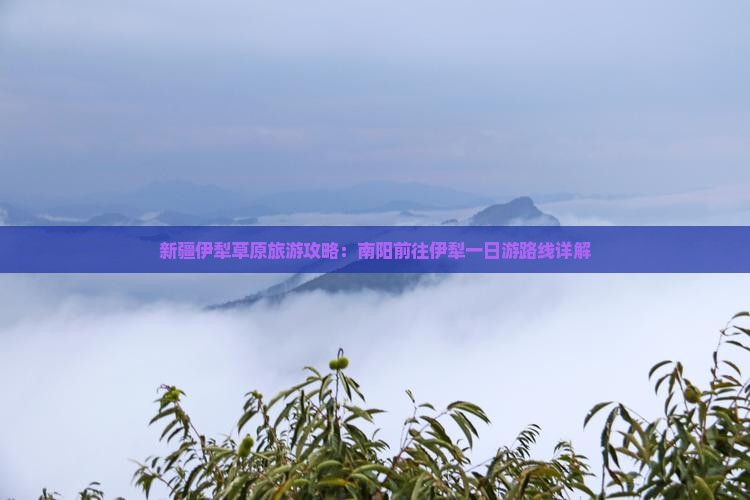 新疆伊犁草原旅游攻略：南阳前往伊犁一日游路线详解
