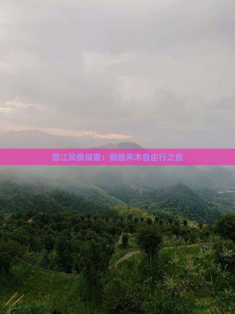 怒江风情探索：新疆禾木自由行之旅