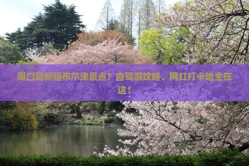 周口到新疆布尔津景点？自驾游攻略、网红打卡地全在这！