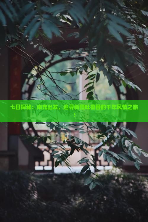 七日探秘：南充出发，追寻新疆吐鲁番的千年风情之旅！