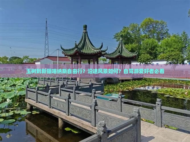 玉树到新疆喀纳斯自由行？沿途风景如何？自驾游爱好者必看
