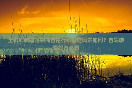 玉树到新疆喀纳斯自由行？沿途风景如何？自驾游爱好者必看