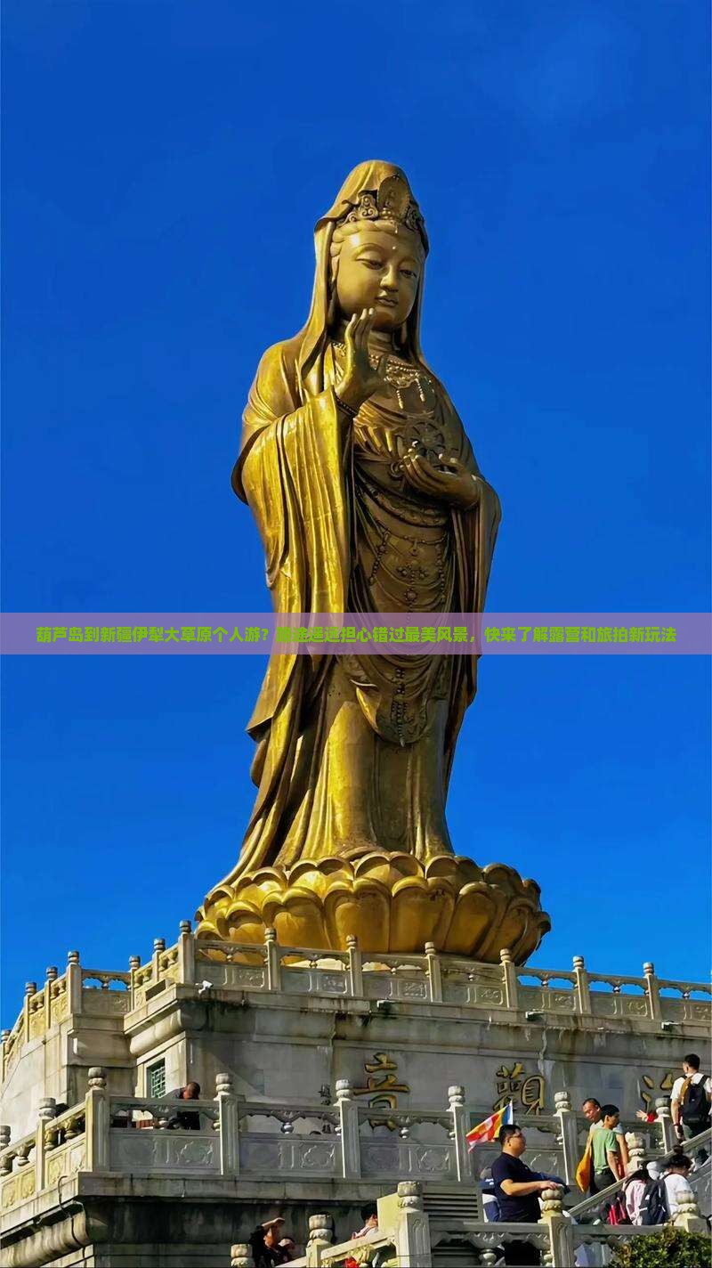 葫芦岛到新疆伊犁大草原个人游？路途遥远担心错过最美风景，快来了解露营和旅拍新玩法