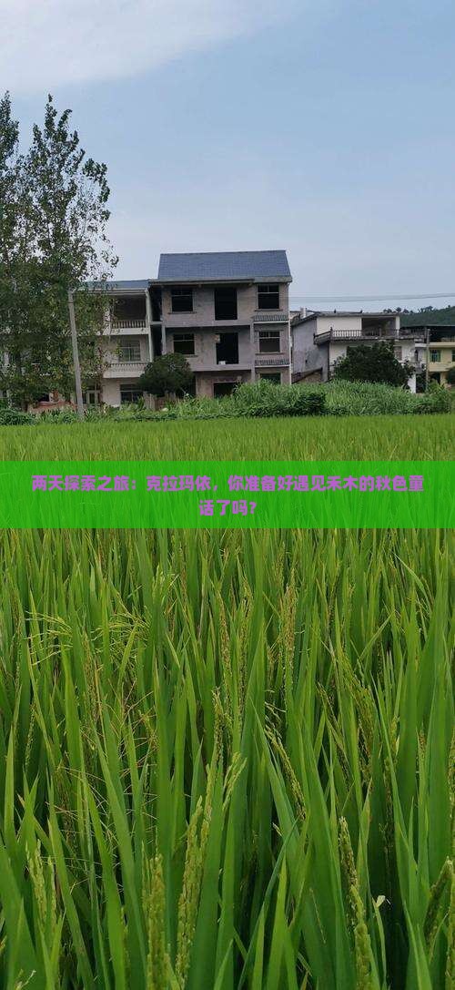 两天探索之旅：克拉玛依，你准备好遇见禾木的秋色童话了吗？