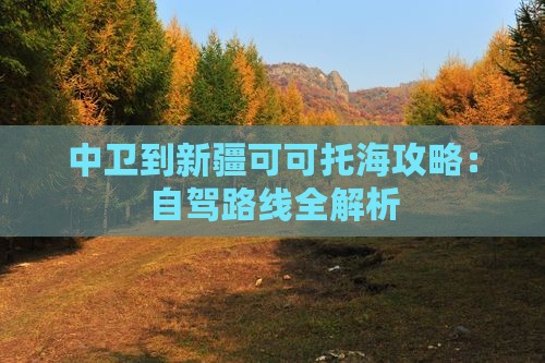 中卫到新疆可可托海攻略：自驾路线全解析