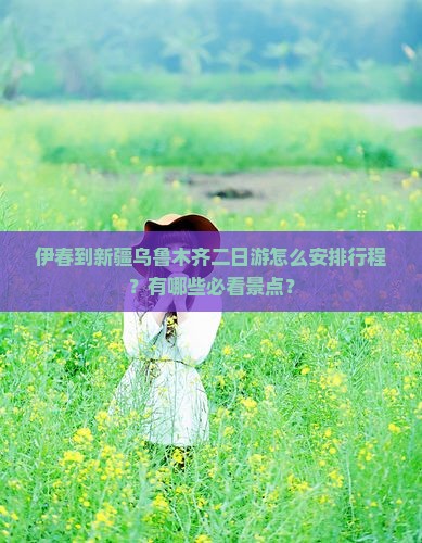 伊春到新疆乌鲁木齐二日游