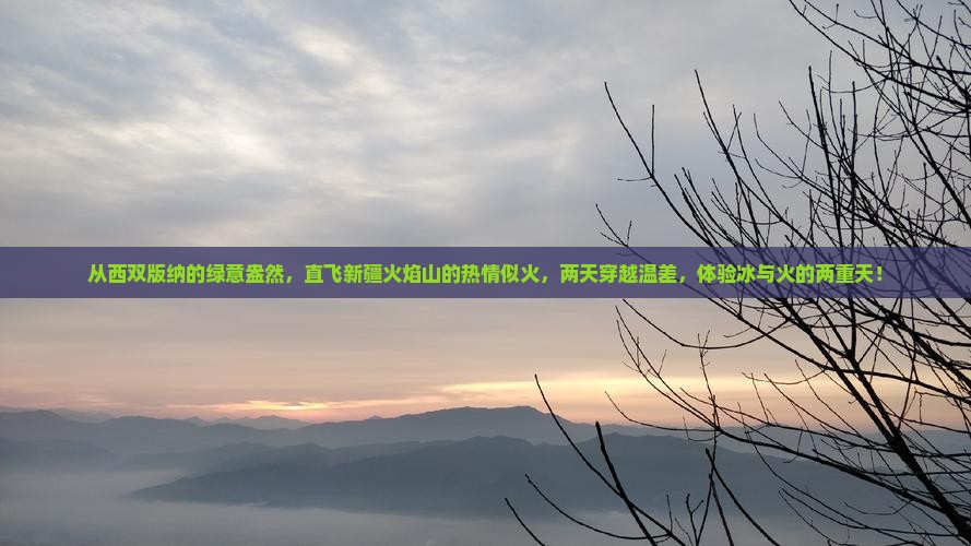 西双版纳去新疆火焰山二日游