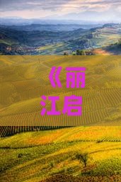 丽江去新疆火焰山七日游