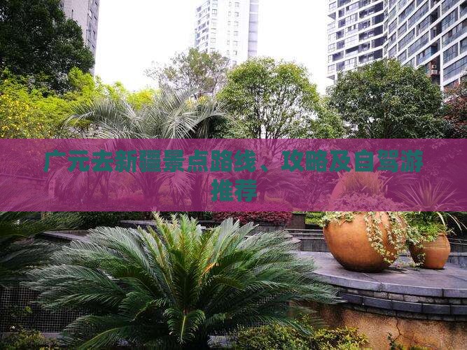 广元去新疆景点
