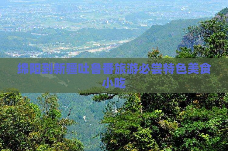 绵阳到新疆吐鲁番旅游小吃