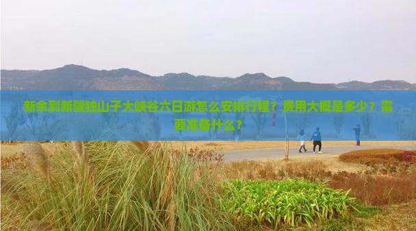 新余到新疆独山子大峡谷六日游