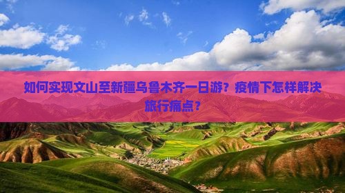 文山去新疆乌鲁木齐一日